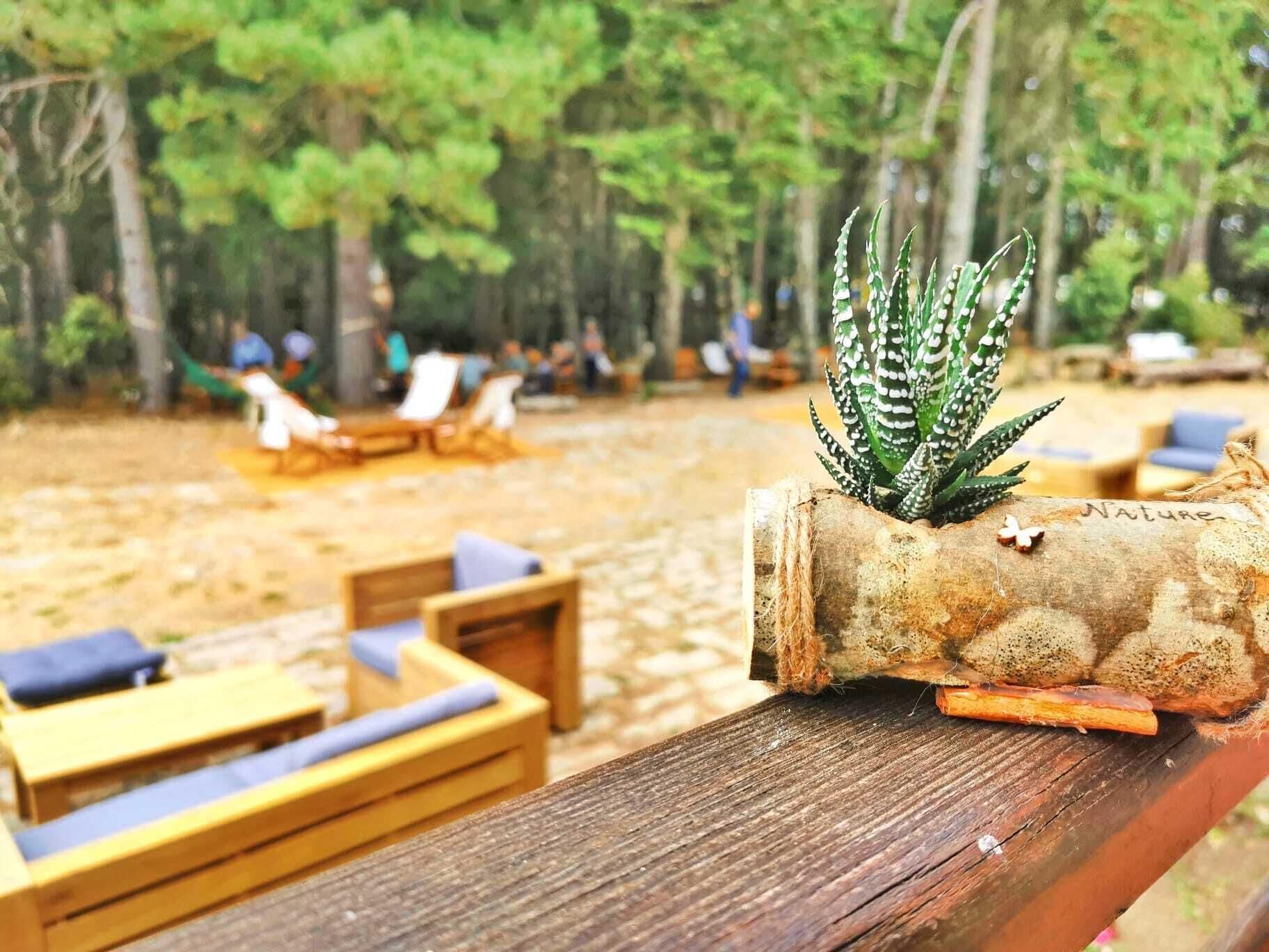 Vallicciola Nature Hotel Tempio Pausania Exteriér fotografie